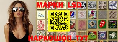 сатива Краснодар