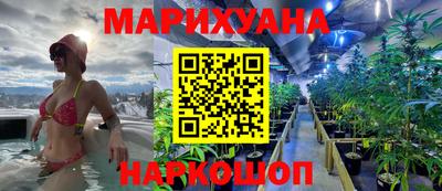 сатива Краснодар
